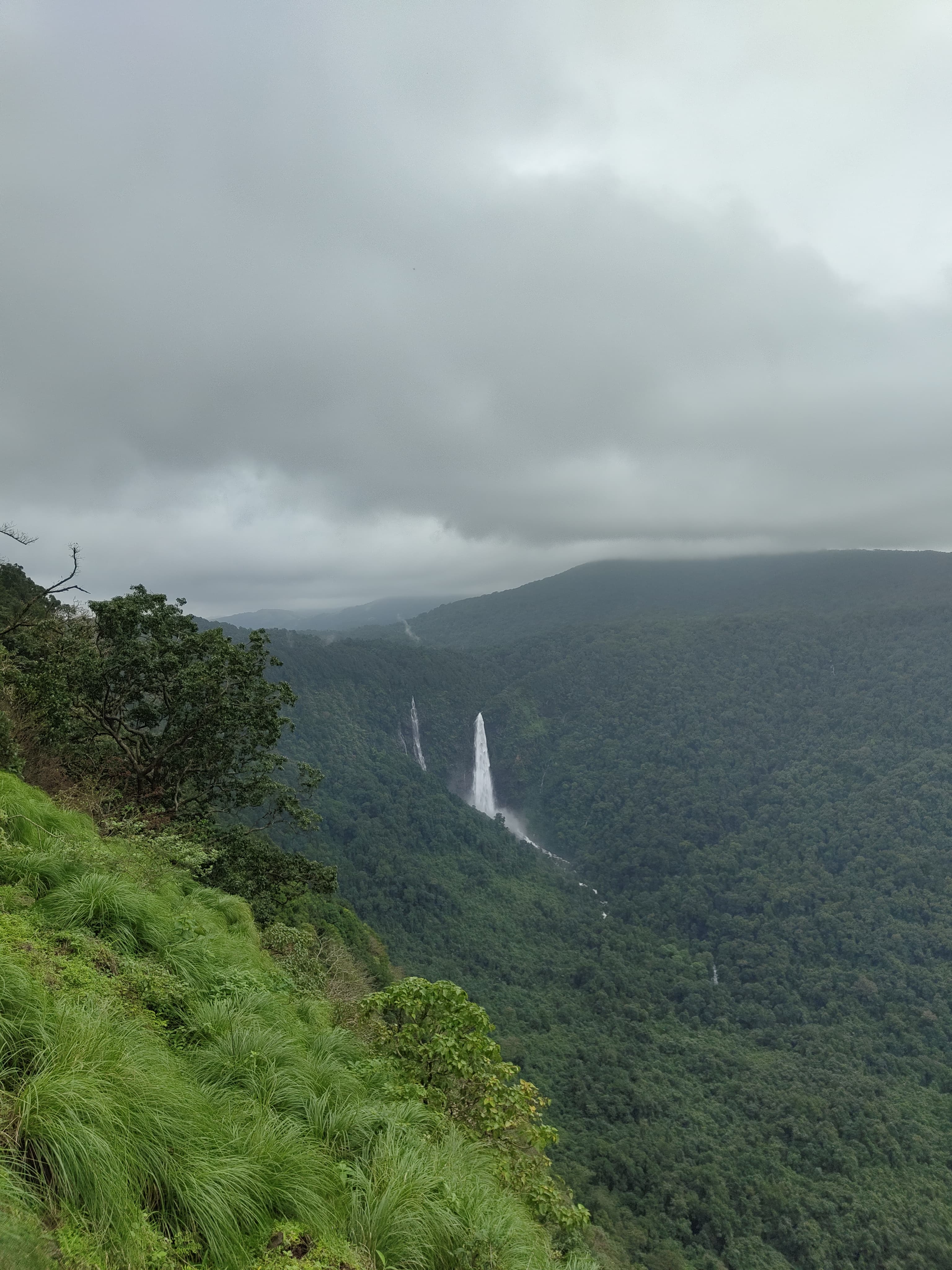 Malenadu Waterfalls Trek - View 3
